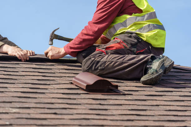 Best Roof Repair Services  in Zimmerman, MN