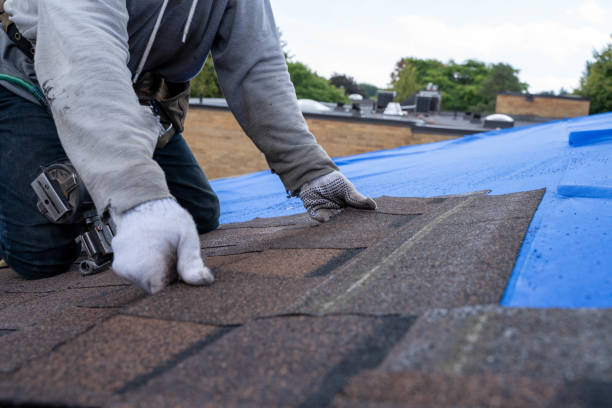 Best Roof Gutter Cleaning  in Zimmerman, MN